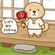 ヒメ日記 2025/07/18 17:41 投稿 はつね 奥様鉄道69 東京店