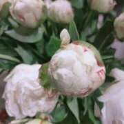 ヒメ日記 2025/08/08 11:05 投稿 はつね 奥様鉄道69 東京店