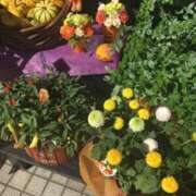 ヒメ日記 2025/09/30 19:55 投稿 はつね 奥様鉄道69 東京店