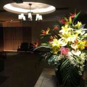 ヒメ日記 2025/10/08 11:55 投稿 はつね 奥様鉄道69 東京店