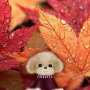 ヒメ日記 2025/11/10 19:05 投稿 はつね 奥様鉄道69 東京店