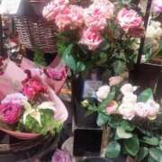 ヒメ日記 2025/11/24 22:45 投稿 はつね 奥様鉄道69 東京店