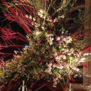 ヒメ日記 2025/12/06 19:28 投稿 はつね 奥様鉄道69 東京店