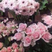 ヒメ日記 2025/12/23 09:35 投稿 はつね 奥様鉄道69 東京店