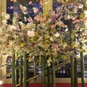 ヒメ日記 2025/12/27 19:05 投稿 はつね 奥様鉄道69 東京店