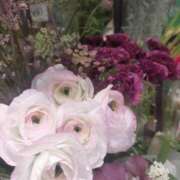 ヒメ日記 2026/01/09 19:25 投稿 はつね 奥様鉄道69 東京店