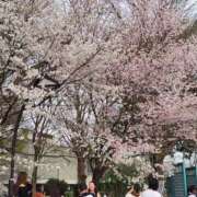 ヒメ日記 2025/03/28 16:13 投稿 りえ 奥鉄オクテツ東京店（デリヘル市場）