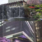 ヒメ日記 2025/04/11 10:18 投稿 りえ 奥鉄オクテツ東京店（デリヘル市場）