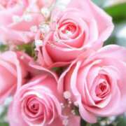 ヒメ日記 2025/01/31 09:00 投稿 夏目 十和子 人妻セレブ宮殿