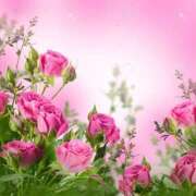 ヒメ日記 2025/10/26 14:45 投稿 夏目 十和子 人妻セレブ宮殿