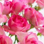 ヒメ日記 2026/01/10 11:30 投稿 夏目 十和子 人妻セレブ宮殿