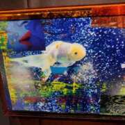 ヒメ日記 2025/03/02 21:54 投稿 水澤 友里 人妻セレブ宮殿