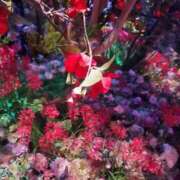 ヒメ日記 2025/03/21 21:52 投稿 水澤 友里 人妻セレブ宮殿