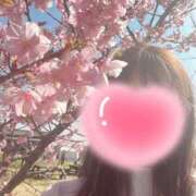 ヒメ日記 2026/01/13 06:45 投稿 水澤 友里 人妻セレブ宮殿