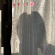 ヒメ日記 2026/01/24 08:24 投稿 水澤 友里 人妻セレブ宮殿