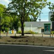 ヒメ日記 2026/08/09 16:42 投稿 水澤 友里 人妻セレブ宮殿
