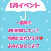 ヒメ日記 2024/06/17 19:16 投稿 おとは 石川金沢ちゃんこ