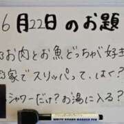 ヒメ日記 2024/06/23 10:45 投稿 おとは 石川金沢ちゃんこ