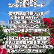 ヒメ日記 2024/06/24 07:01 投稿 おとは 石川金沢ちゃんこ