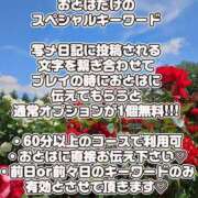 ヒメ日記 2024/06/26 07:01 投稿 おとは 石川金沢ちゃんこ