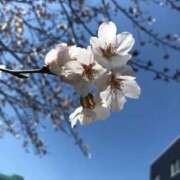 ヒメ日記 2025/03/27 11:28 投稿 えりか ニューティアラ