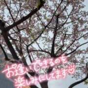 ヒメ日記 2026/04/22 10:21 投稿 えりか ニューティアラ