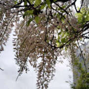 ヒメ日記 2025/05/04 19:33 投稿 あずき 奥鉄オクテツ東京店（デリヘル市場）