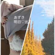 ヒメ日記 2025/11/19 17:18 投稿 あずき 奥鉄オクテツ東京店（デリヘル市場）