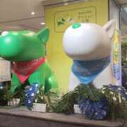 ヒメ日記 2026/07/25 16:20 投稿 あずき 奥鉄オクテツ東京店（デリヘル市場）
