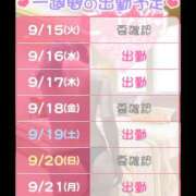 ヒメ日記 2026/09/15 16:50 投稿 あずき 奥鉄オクテツ東京店（デリヘル市場）
