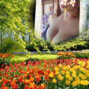 ヒメ日記 2025/03/30 22:05 投稿 かすみ シャトーペトラ