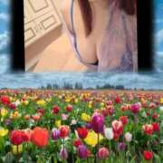 ヒメ日記 2026/04/12 21:35 投稿 かすみ シャトーペトラ