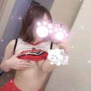 ヒメ日記 2025/05/18 04:50 投稿 はな 神戸デリヘル クリスタル