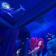 ヒメ日記 2025/05/20 22:20 投稿 はな 神戸デリヘル クリスタル