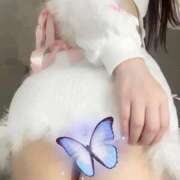 ヒメ日記 2026/04/07 20:20 投稿 はな 神戸デリヘル クリスタル