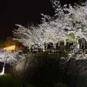 ヒメ日記 2026/04/14 20:20 投稿 はな 神戸デリヘル クリスタル