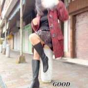 ヒメ日記 2026/02/12 07:55 投稿 森口 いづみ 人妻セレブ宮殿