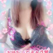 ヒメ日記 2025/04/15 08:37 投稿 ゆみ[岡山] 奥様鉄道69 東京店