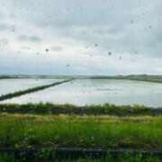 ヒメ日記 2025/05/17 20:01 投稿 しょう 湯房 湯島御殿