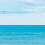 ヒメ日記 2025/05/19 09:46 投稿 しょう 湯房 湯島御殿