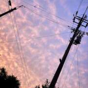 ヒメ日記 2025/06/10 09:58 投稿 しょう 湯房 湯島御殿