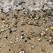 ヒメ日記 2025/06/29 18:40 投稿 しょう 湯房 湯島御殿