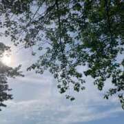 ヒメ日記 2025/07/27 10:45 投稿 しょう 湯房 湯島御殿