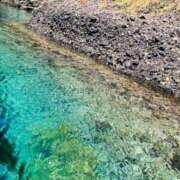 ヒメ日記 2025/08/03 10:51 投稿 しょう 湯房 湯島御殿