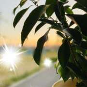 ヒメ日記 2025/09/29 09:59 投稿 しょう 湯房 湯島御殿