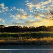 ヒメ日記 2025/12/02 10:12 投稿 しょう 湯房 湯島御殿