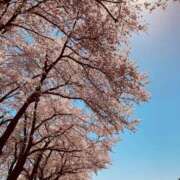 ヒメ日記 2026/02/16 09:58 投稿 しょう 湯房 湯島御殿