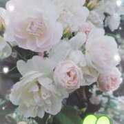 ヒメ日記 2025/01/25 06:54 投稿 あお 湯房 湯島御殿