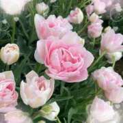 ヒメ日記 2025/02/19 11:25 投稿 あお 湯房 湯島御殿