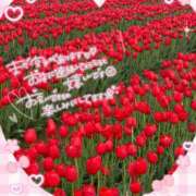 ヒメ日記 2025/02/23 09:19 投稿 あお 湯房 湯島御殿